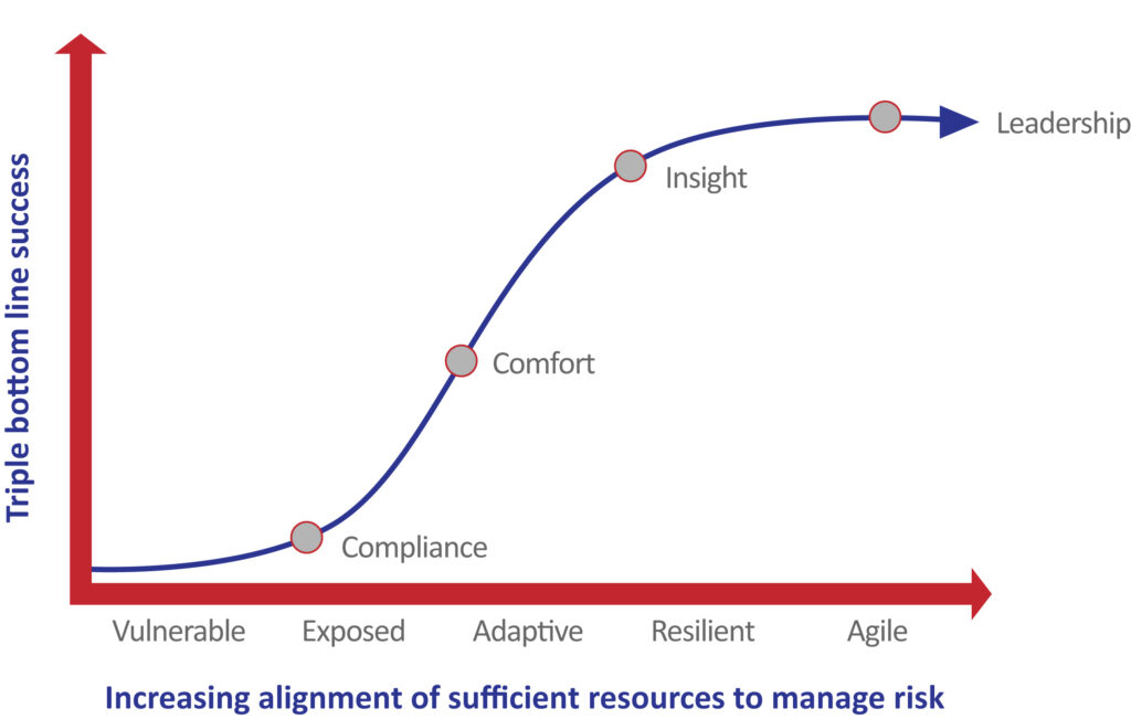 Risk Maturity Reviews 